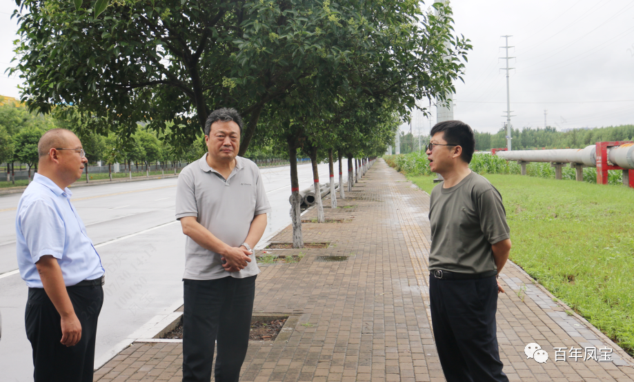 雷涛到华体会网页版登录入口特钢集团调研指导防汛工作