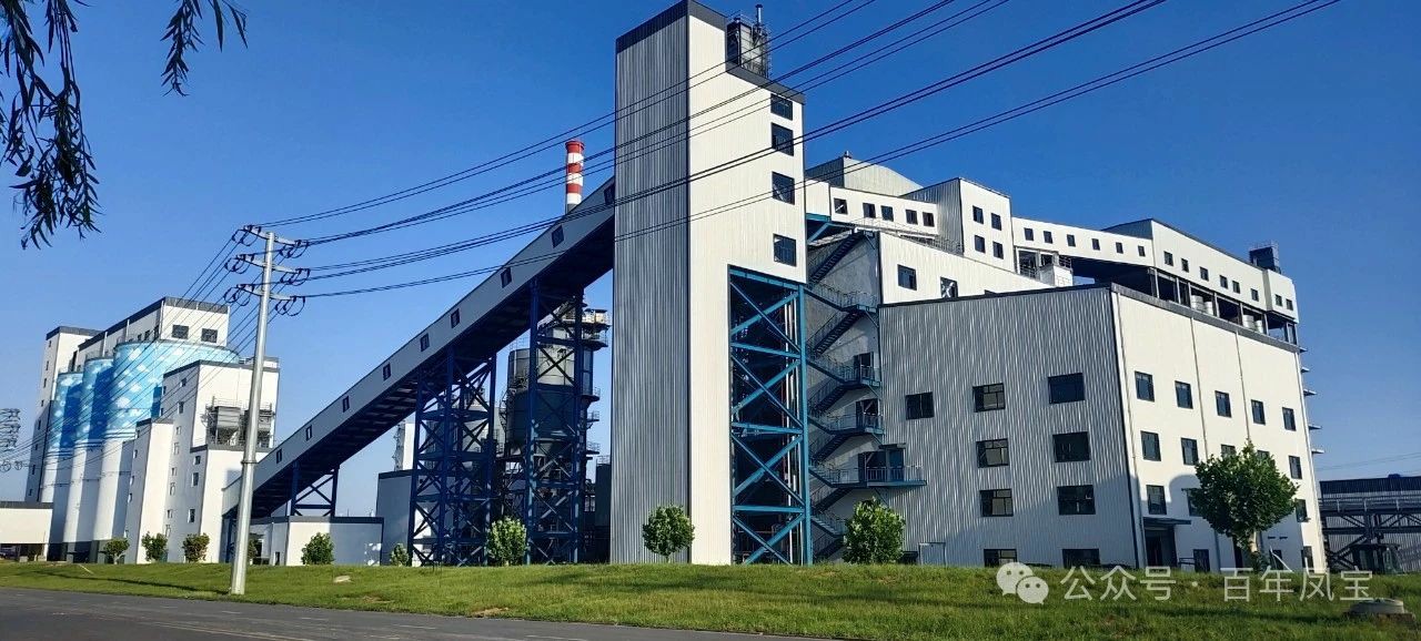 宋争辉到华体会网页版登录入口集团调研